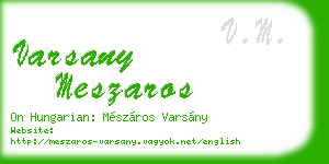 varsany meszaros business card