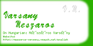 varsany meszaros business card
